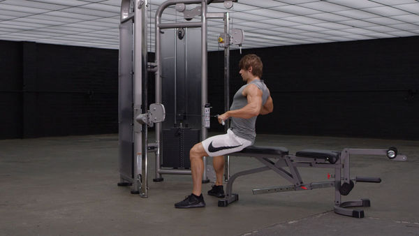 Ripped Back/Abs